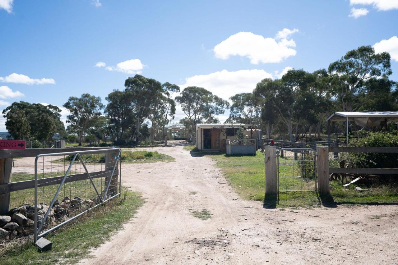 Villa Saddle Camp Tiny House By Tiny Away Braidwood Esterno foto